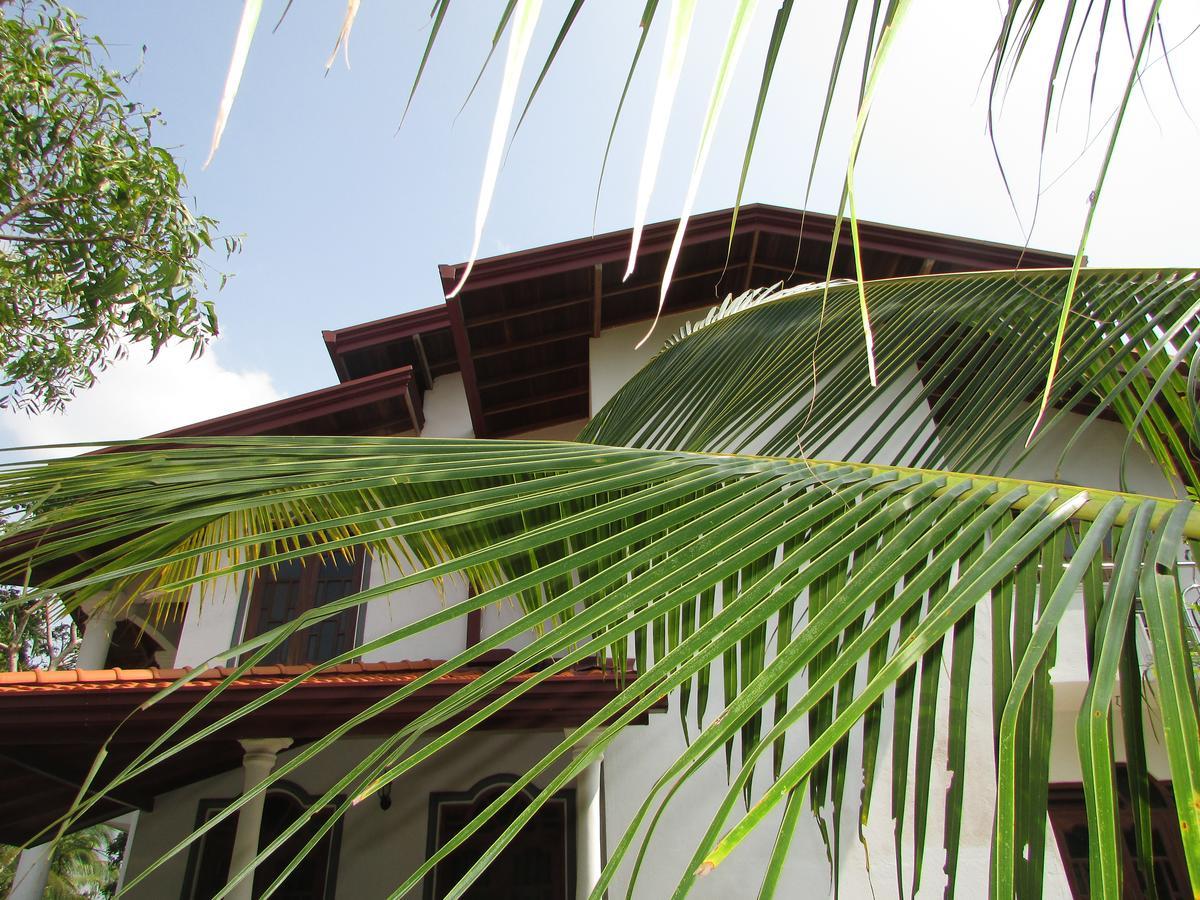 Falcon Villa Індурува Екстер'єр фото